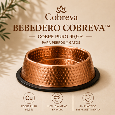 Bebedero Cobreva Natura de cobre puro